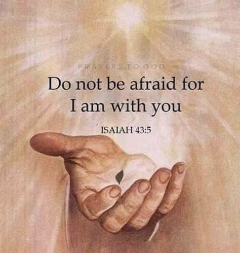 Isaiah 43:5 Christ Quotes, Bible Quotes Images, Ayat Alkitab, Blessed Quotes, Christian Bible Quotes, Inspirational Quotes God, Do Not Be Afraid, Eucharist, Inspirational Prayers