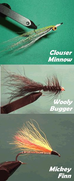 The bass fishing flies mentioned in the article Bass Flies, Small Mouth, How To Fish, Northern Norway, Fly Patterns, Fishing Flies, Types Of Fish, Freshwater Fish, Fly Tying