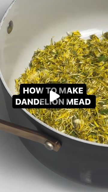 Golden Hive Mead on Instagram: "Dandelion mead full recipe for one gallon:

-200-300 dandelion heads (makes 1/2 gal of tea)
-Fresh spring water
3lbs raw wildflower honey
-peel from 1 lemon
-2 tsp black tea leaves
-5g D47 brewing yeast (or similar)
-3g fermaid-0 nutrient (step fed 1g/day for first 3 days)
less" Dandelion Mead, Wine Recipes Drink, Recipe For One, Black Tea Leaves, Wildflower Honey, Famous Recipe, Spring Water, Mead, Wine Drinks