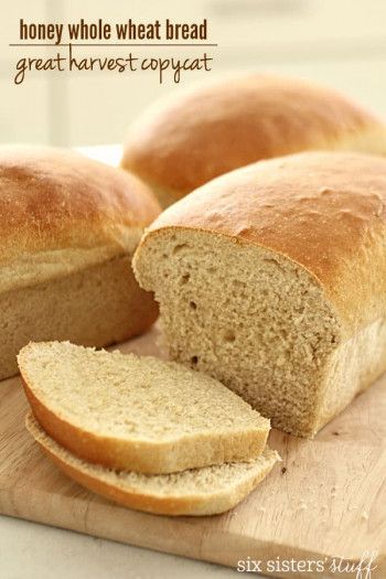 Easy Homemade Rolls, Honey Whole Wheat Bread, Great Harvest Bread, Harvest Bread, Honey Wheat Bread, Wheat Bread Recipe, Six Sisters Stuff, Homemade Rolls, Honey Wheat