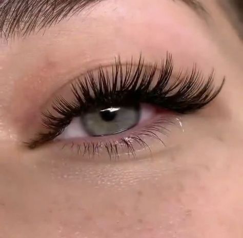 Big Eyelashes, Natural Fake Eyelashes, Lashes Fake Eyelashes, Cat Eye Lash, Eyelash Extensions Styles, Perfect Eyelashes, Simple Prom Hair, Eyelash Extentions, Eye Makeup Designs