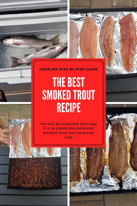 Follow my step by step guide to the perfect smoked trout fillets! They are delicious! Smoked Trout Fillet Recipes, Lake Trout Recipes, Trout Fillet Recipes, Smoked Trout Recipe, Barbecue Recipes Grill, Trout Recipe, New Food Recipes, Seafood Ideas, Bbq Dry Rub