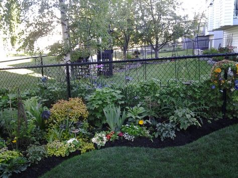 Landscape With Chain Link Fence, Backyard Landscaping Chain Link Fence, Landscaping With Chain Link Fence, Chain Link Fence Plants, Landscape Along Chain Link Fence, Chain Link Fence Landscaping Ideas, Black Chain Link Fence Landscaping, Landscaping Along Chain Link Fence, Landscaping Chain Link Fence