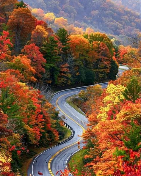 Blue Ridge Parkway North Carolina, Puzzle Ideas, Digital Creator, Blue Ridge Parkway, Scenic Routes, Great Smoky Mountains, Life Is An Adventure, Smoky Mountains, Blue Ridge