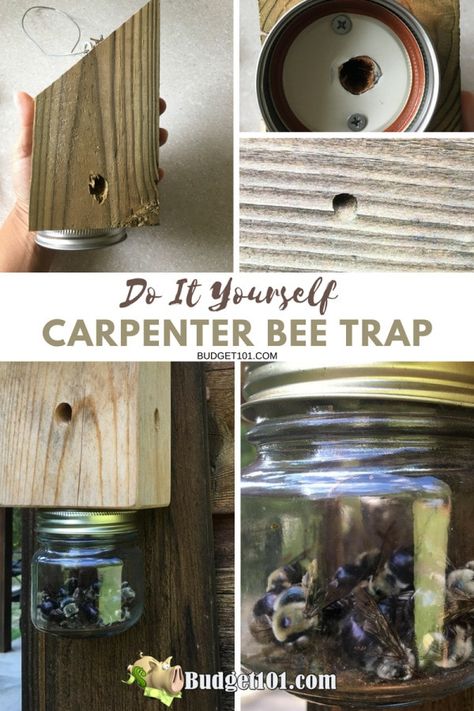 How to Protect Your Home Against Ants and Carpenter Bees Diy Carpenter Bee Trap How To Build, How To Make Carpenter Bee Traps, Carpenter Bee Traps Diy How To Build, Carpenter Bee Trap Diy, Wood Bee Trap, Bee Catcher, Bee Trap, Carpenter Bee Trap, Bee Traps