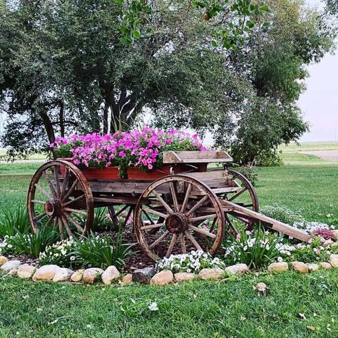 The Top 75 Flower Bed Ideas - Next Luxury Wagon Landscaping Ideas, Vintage Flower Pots Outdoor, Farm Landscaping Ideas Country Living, Rustic Yard Decor Landscaping Ideas, Antique Flower Bed Ideas, Old Wagon Garden Ideas, Old Truck Flower Bed, Country Flower Beds, Farm Landscaping Ideas