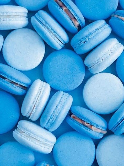 Aesthetic Macarons, Blue Flowers Aesthetic, Blue Macaroons, Kue Macaroon, Photo Bleu, Baby Blue Wallpaper, Blue Vibes, Blue Stuff, Everything Is Blue