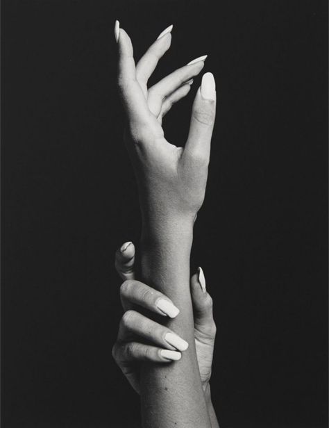 Robert Mapplethorpe Photography, Jerry Uelsmann, Juergen Teller, Still Life Images, Hand Photography, Robert Mapplethorpe, Hand Drawing Reference, Hand Photo, Hand Reference