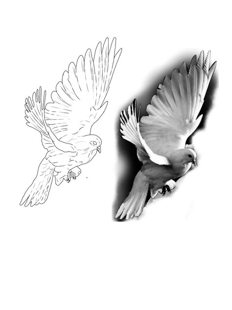 Dove Tattoo Stencil, Realism Stencil, Dove Stencil, Arm Tattoos Lettering, Tattoo Wings, Animal Stencils, Bio Organic Tattoo, Dove Tattoo Design, Best Neck Tattoos