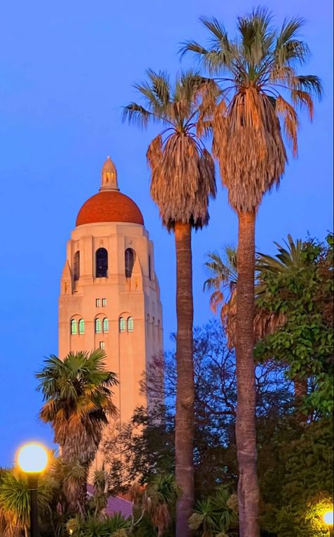 Hoover Tower Stanford Acceptance Letter, Silicon Valley Aesthetic, Stanford University Aesthetic, Stanford Aesthetic, Stanford Graduation, Stanford University Campus, Stanford Campus, University Inspiration, Stanford Law