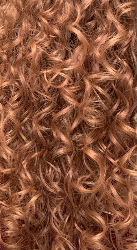 Blonde Red Curly Hair, Curly Hair Dye Ideas Ginger, Naturally Curly Strawberry Blonde Hair, Copper Blonde Hair Curly, Strawberry Blonde On Curly Hair, Honey Colored Curly Hair, Natural Red Highlights In Brown Hair Curly, Strawberry Blonde Hair Curly Natural, Curly Hair Color Ideas Brown