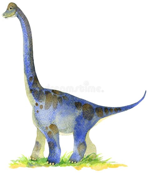 Dinosaur Watercolor, Dinosaur Sketch, Teaching Watercolor, Dinosaur Dinosaur, Dinosaur Images, Dinosaur Illustration, Kids Watercolor, Dinosaur Nursery, Dinosaur Decor