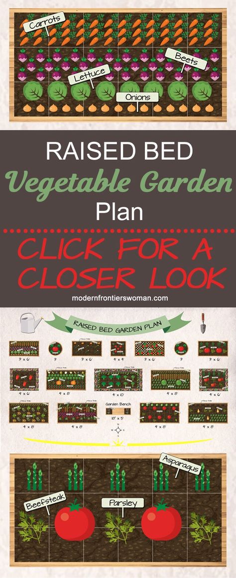 Bed Layers, Plan Potager, Vegetable Garden Plan, Beds Simple, Raised Bed Vegetable Garden, Dyi Flowers, Backyards Ideas, Above Ground Garden, Gemüseanbau In Kübeln