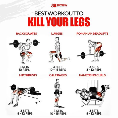 There should be no excuse to skip the leg day. Feel the burn in your legs with this particular workout. Then, share in the comments below how you fared against this leg day. #brewfitnessco #homegym #freeweights #yogaequipment #trainingaccessories #sportswear #gymequipment #gymmotivation Heavy Leg Workout, Leg Day Workout At The Gym, Bigger Legs Workout, Leg Workouts For Men, Full Leg Workout, Leg Day Workout, Leg Workouts Gym, Workout Gym Routine, Gym Workout Guide