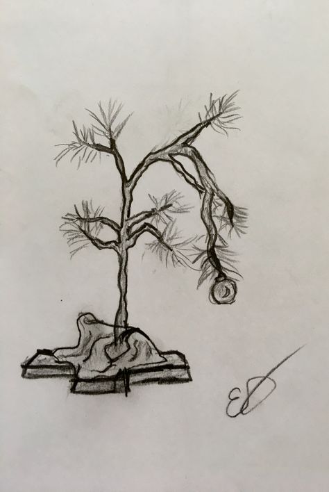 Charlie Browns Christmas tree sketch   By Eme F Charlie Brown Christmas Tree Tattoo, Christmas Tree Sketch, Fall Christmas Tree, Palm Tree Crafts, Brown Christmas Tree, Willow Tree Wedding, Green Christmas Tree Decorations, Tree Sketch, Charlie Brown Christmas Tree