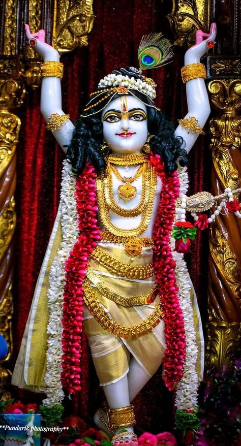 Gour Nitai, Butterfly Video, Devon Ke Dev Mahadev, Krishna Temple, Shree Krishna Wallpapers, Radha Krishna Images, Radha Rani, Art Gallery Wallpaper, Radha Krishna Photo