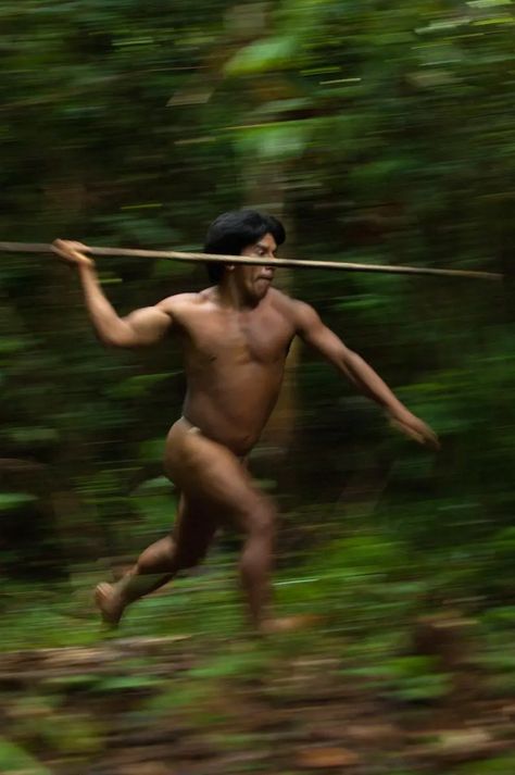 Incredible pictures show forgotten tribe in Ecuadorian rainforest hunting monkeys with blowpipes just as their ancestors did (and it's still hell on the feet) | The Sun Rainforest Tribes, Animal Hunting, Amazon Rainforest, Endangered Species, Monkeys, Palm Tree, Ecuador, South America, National Park