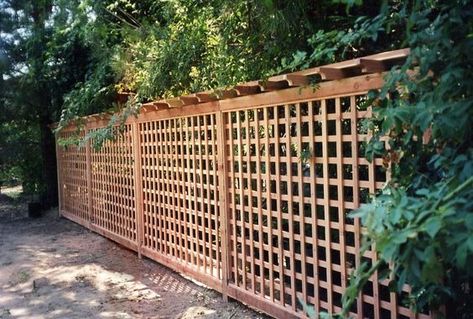 17 Lattice Fence Ideas For Your Yard Lattice Fencing Ideas, Lattice Fence Ideas, Lattice Fence Panels, Vinyl Lattice Panels, Square Lattice, Lattice Fence, Chain Link Fence, Fence Ideas, Fence Gate