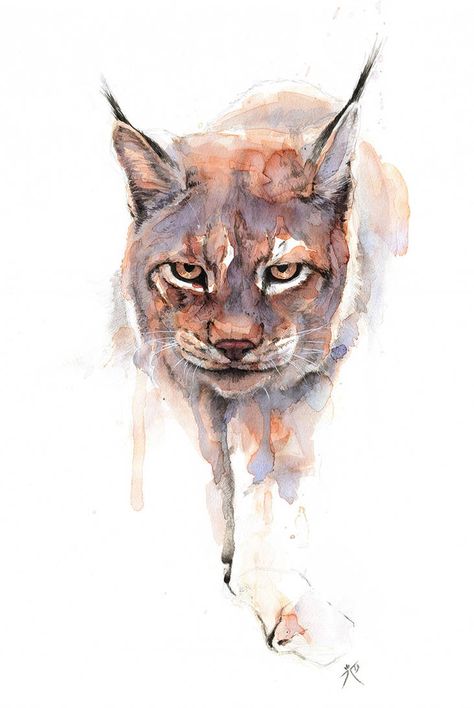 Big Cats Art, Cat Artwork, Watercolor Inspiration, Animal Tattoos, Watercolor Animals, Lynx, Wildlife Art, Art Watercolor, 귀여운 동물