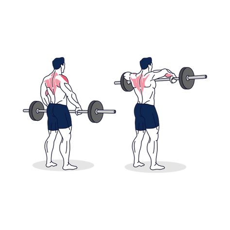 You should consider adding Barbell upright rows to your training if you want stronger shoulders and a better overall physique. Barbell upright rows can be incorporated into any existing training program. Barbell Upright rows are a great addition to any training program, from arm and shoulder exercises to complete-body workouts. If done correctly, the barbell upright […] Upright Barbell Row, Complete Body Workout, Upright Row, Shoulder Exercises, Shoulder Muscles, Strong Shoulders, Strength Training Workouts, Gym Exercise, Training Program