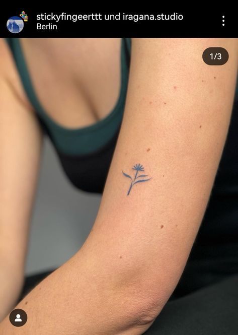 Dutch Tattoo Ideas Netherlands, Edelweiss Tattoo Minimalist, Denmark Tattoo, Netherlands Tattoo, Sweden Tattoo, Switzerland Tattoo, Cornflower Tattoo, Edelweiss Tattoo, Dutch Tattoo