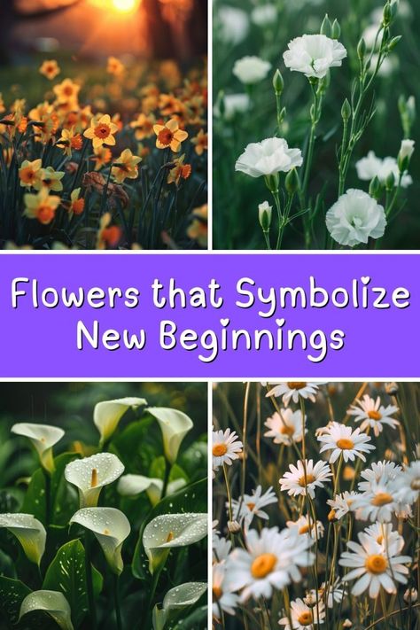 12 Flowers that Symbolize New Beginnings (List & Pictures) Flower Meaning New Beginning, Flowers For New Beginnings, Flowers That Represent Healing, Flower Cycle, New Beginning Tattoo, White Carnations, Bell Flowers, White Carnation, Sacred Plant