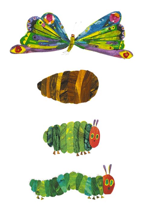 Caterpillar Into Butterfly, Caterpillar Drawing, Very Hungry Caterpillar Printables, Hungry Caterpillar Food, Hungry Caterpillar Craft, Hungry Caterpillar Activities, Felt Food Diy, Butterfly Png, Butterfly Template