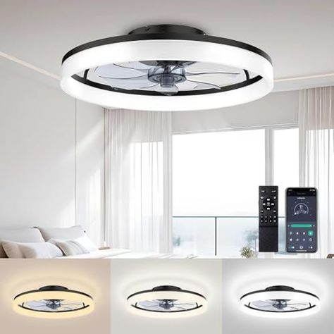 Florida Trends's Amazon Page Ceiling Fan Flush Mount, Fandelier Ceiling Fan, Low Profile Ceiling Fan, Bladeless Ceiling Fan, Fans With Lights, Ceiling Fans With Lights, Flush Mount Ceiling Fan, Bedroom Kids, Fan With Light