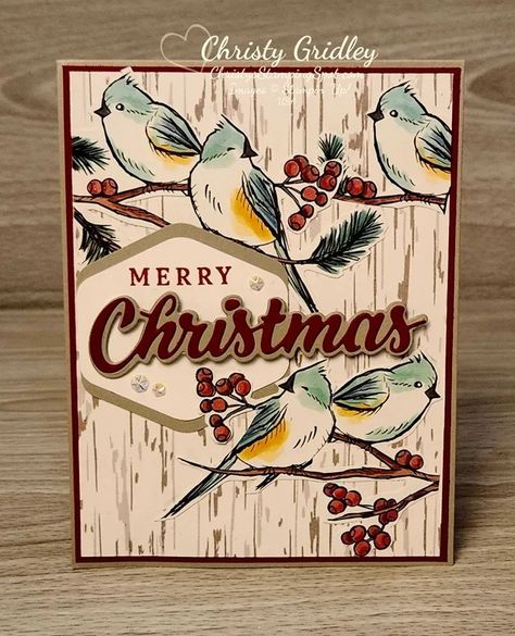 Nests Of Winter DSP Christmas Card - Christy's Stamping Spot Heartfelt Hexagon, One Sheet Wonder Cards, Pink Christmas Cards, Fall Greeting Cards, Create Christmas Cards, One Sheet Wonder, Paper Birds, Homemade Christmas Cards, Stampin Up Christmas Cards