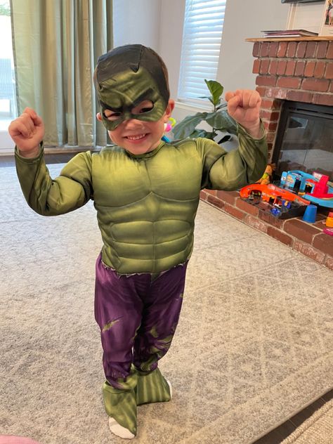 Spirit Halloween has The Hulk costume for 2T boys. 2t Boy Halloween Costumes, The Hulk Costume, Hulk Costume, Hulk Birthday, The Hulk, Boy Halloween Costumes, Mens Halloween Costumes, Baby Costumes, The Villain