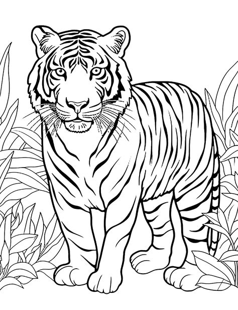 Pictures Of Tigers To Draw, Tiger Colouring Pages, Tiger Coloring Pages Free Printable, Tiger Outline Drawing, How To Draw A Tiger, Tiger Drawing Sketches, Tiger Drawing Easy, Tiger Template, Colouring Animals