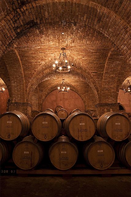 Wine Vault, Napa Valley Wineries, Wine Cave, Barrel Room, Wine Vineyards, Rustic Restaurant, Outdoor Restaurant, Small Backyard Pools, Brick And Stone