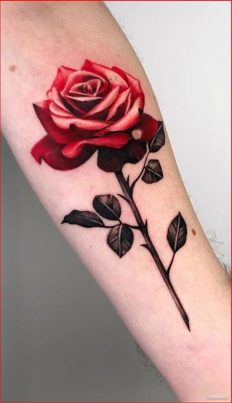 Rose Stem Tattoo, Butterfly With Flowers Tattoo, Realistic Rose Tattoo, Rose Flower Tattoos, Rose Drawing Tattoo, Rose Tattoos For Men, Rose Tattoos For Women, Blue Rose Tattoos, Small Rose Tattoo