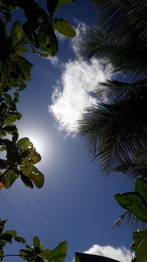 Sun Asthetics, Goa Vibes, Asthetics Photos, Well Paper, Moon And Sky, Amazing Aesthetic, Sky Sunrise, Aesthetic Captions, Landscape Sky