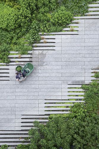 High Line Gardening | Meatpacking District/Chelsea, NYC. | Timothy Schenck | Flickr Landscape Plaza, Pavement Design, Landscape And Urbanism Architecture, Landscape Pavers, Paving Pattern, Paving Ideas, Paving Design, Landscape And Urbanism, Landscape Architecture Design