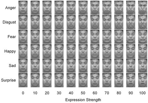 Facial Action Coding System, Face Reading, Word Search Puzzle, Facial, Coding, Key, Reading