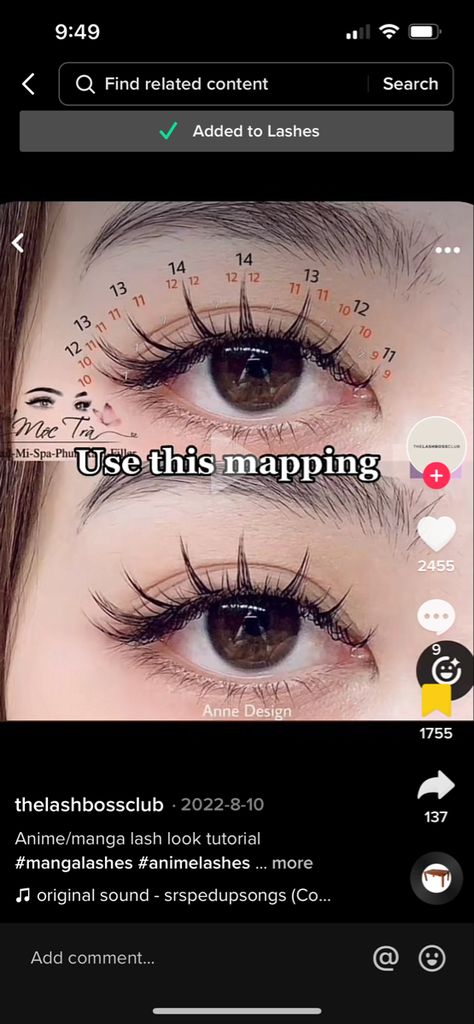 Lash Extensions Mapping Styles Anime, Wispy Anime Lash Extensions Mapping, Foxy Eyelash Extensions Map, Fairy Lash Extensions Map, Manga Lash Cluster Map, Manga Lashes Mapping, Manhua Lash Map, Manga Lashes Extensions Map, Doll Lash Map