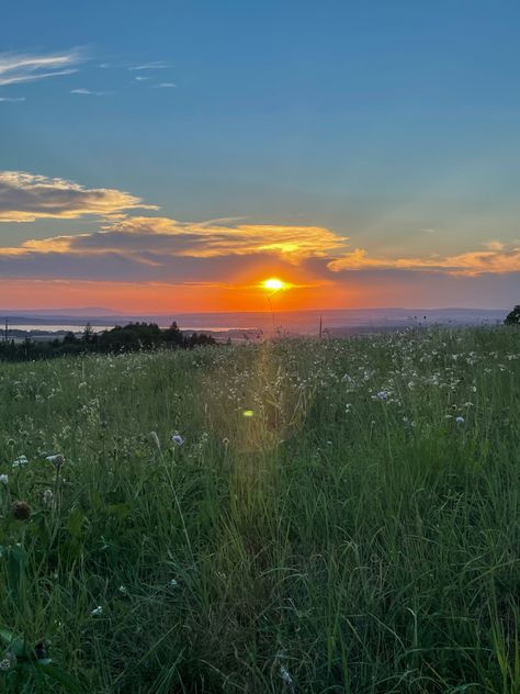 Sunset Meadow Aesthetic, Meadow Of Flowers Aesthetic, Sunset Meadow Painting, Meadow Aesthetic Wallpaper, Riddhi Core, Meadow Pictures, Sunset Reference, Aesthetic Meadow, Meadow Aesthetic