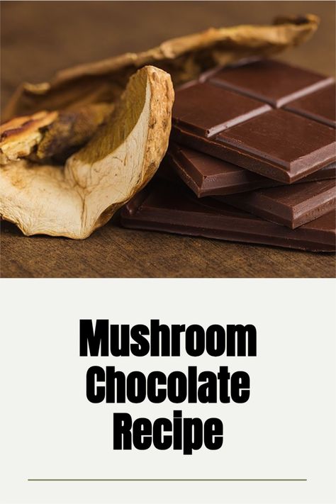 Functional mushroom extracts have a wide variety of benefits, which is why they have become popular in the form of capsules and other products. However, it can be more fun to snack on mushrooms in the form of delicious chocolates! Mushroom Chocolate, Chocolate Benefits, Fruit And Nut Bars, Chocolate Recipes Easy, Guilt Free Dessert, Chocolate Recipe, Hot Chocolate Mix, Food Categories, Sweet Chocolate