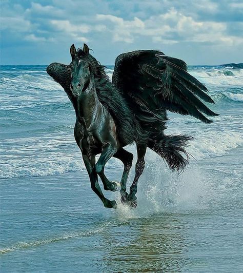 Clash of the Titans Pegasus Horse | black pegasus" I think you mean Blackjack Percy Jackson Sea Of Monsters Aesthetic, Percy Jackson Aesthetic Blue, Poseidon Aesthetic Wallpaper, Percy Jackson Moodboard, Percy Jackson Widget, Percy Jackson Core, Centaur Aesthetic, Demigod Aesthetic, Olympus Aesthetic