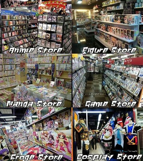 Anime store, figure store, manga store, game store, eroge store, cosplay store, text; Otaku Japanese Memes, Manga Store, Otaku Problems, Anime Clothing Store, Otaku Issues, Cosplay Store, Anime D, Otaku Room, Go To Japan