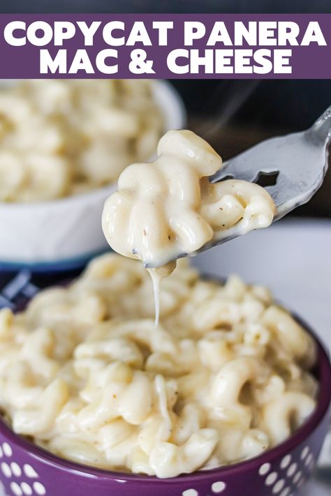 Panera Mac and Cheese is easy to make at home with this copycat recipe! This recipe is SPOT ON and the best I have tried! It's EASY to make too! Panara Mac And Cheese, Panera Mac And Cheese Recipe, Panera Mac And Cheese, Cream Of Mushroom Pasta, Panera Recipes, Spicy Mac And Cheese, Copycat Panera, Easy Dinner Recipes Crockpot, Mac Cheese Recipes