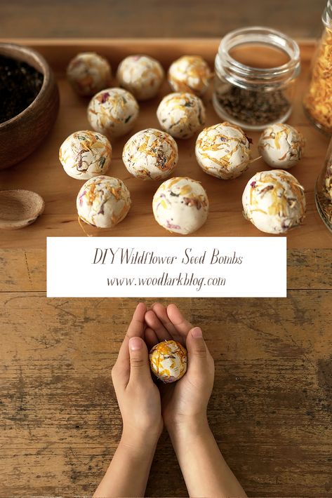 DIY Wildflower Seed Bombs - Woodlark Blog Diy Seed Balls, Diy Seed Pops, Wildflower Seed Balls, Seed Bombshell, Wildflower Gift Ideas, Seed Balls Diy, Seed Bomb Printable, Seed Bomb Directions Printable, How To Make Seed Paper