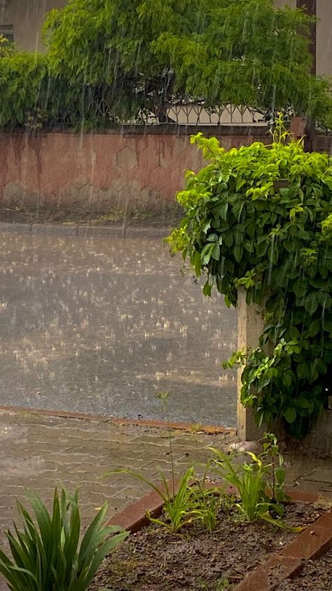 Rainy Nature Photos, Baarish Aesthetics, Barish Aesthetic, Rain Aesthetic Photos, Rain Weather Aesthetic, Barish Pics, Rain Photography Nature, Rainy Weather Aesthetic, Barish Pic