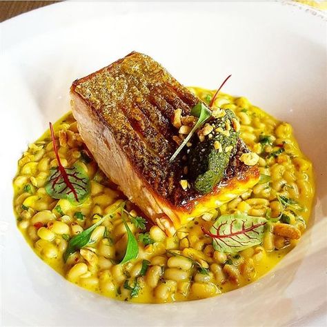 Salmon, white bean and lemon puree, beet quinoa and | Photo by OliHarding | cookniche Thai Coconut Sauce, Beet Quinoa, Shrimp Thai, Charred Pineapple, Seared Halibut, Michelin Food, Food Presentation Plates, Tiger Shrimp, Roasted Artichoke