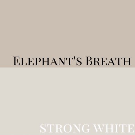 Farrow And Ball Neutral Colours, Elephants Breath Bedroom, Elephant Breath Farrow And Ball, Elephants Breath Hallway, Farrow And Ball Elephants Breath, Elephants Breath Living Room, Elephants Breath Paint, Best Hallway Paint Color, Surrey House