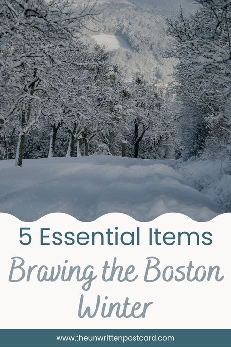 Planning a winter visit to Boston? Don't miss our list of 5 essential items to pack for a captivating winter experience in the city's enchanting charm. #travel #tips #winter #boston Winter Boston, Boston Winter, Walkable City, Moving To Boston, Visiting Boston, Winter Hacks, Boston Common, Travel Adapter, Winter Pictures