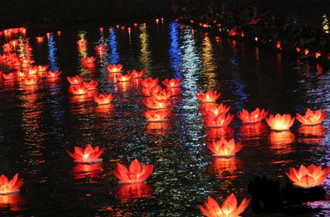 if you have any body of water near your wedding, these floating paper lanterns would be amazing! maybe change the color of the lantern to a more neutral color, whatever colors are in your wedding palate! :) Floating Water Lanterns, Floating Paper Lanterns, Water Lantern, Pool Wedding, Floating Water, Floating Lanterns, Pool Decor, Floating In Water, Floating Candles