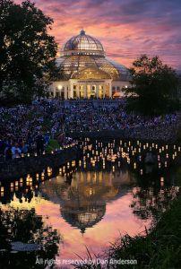 Como Park Zoo in St. Paul, MN Japanese Lantern Festival, Lighting Festival, Lantern Lighting, Garden Dinner, Japanese Lantern, St Paul Minnesota, Lantern Festival, Awesome Places, Travel Map