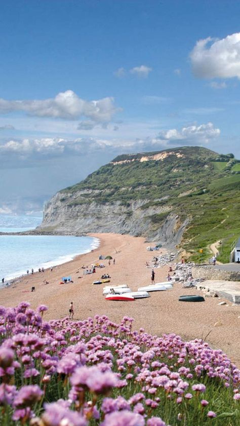 Dorset Beach Guide - Visit Dorset Dorset Beach, Weymouth Beach, Castle Beach, Bournemouth Beach, Lulworth Cove, Dorset Coast, Beach Office, Dog Friendly Beach, South West Coast Path